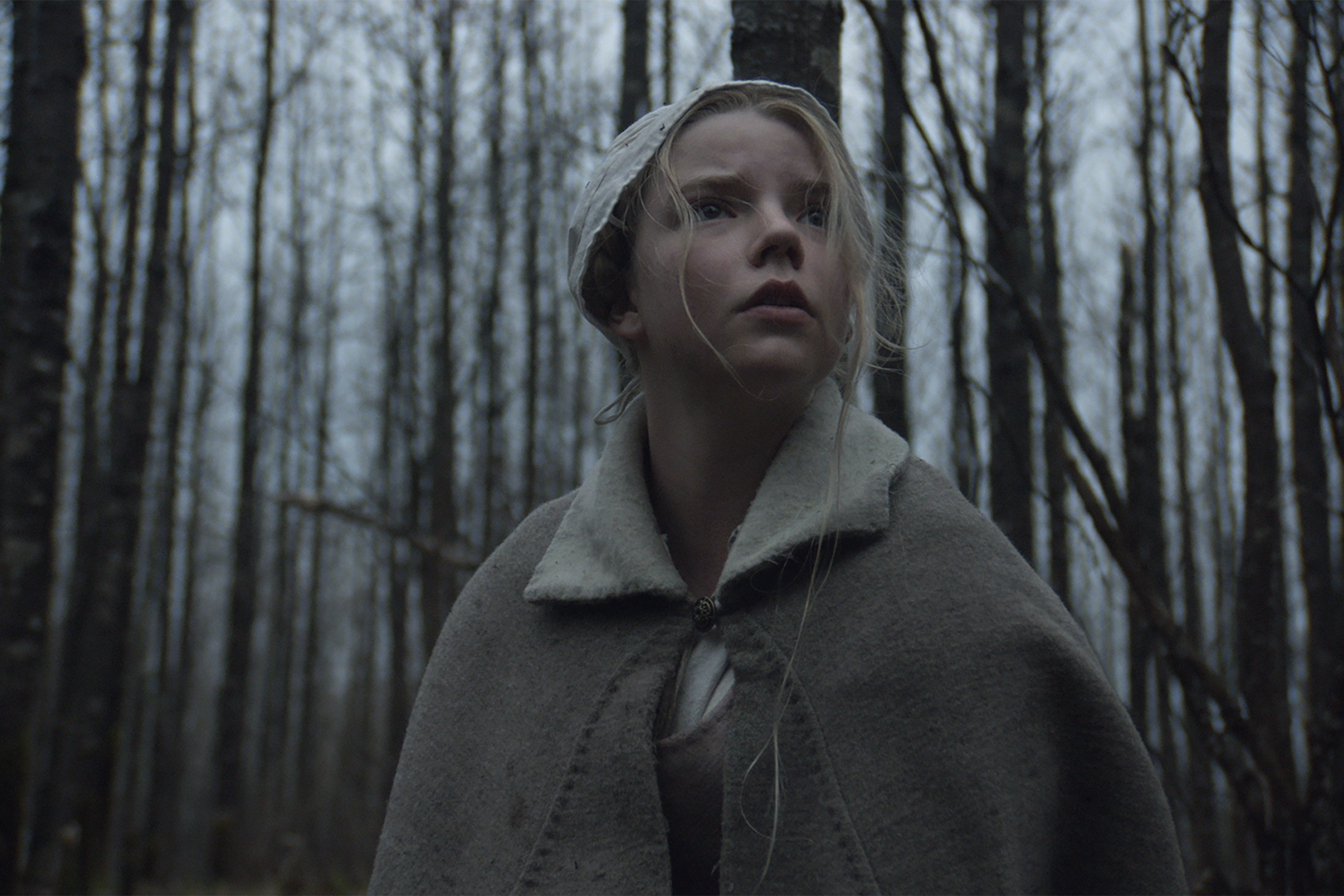 The Witch 4K Review